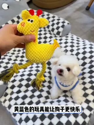 #宠物玩具