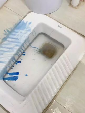蔬果园阳光松木洁厕剂马桶卫生间厕所清洁剂除垢除臭马桶洁厕灵ZB