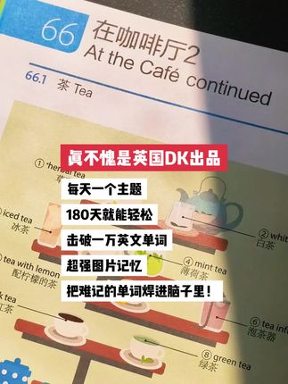 超实用英文工具书来啦!英国dk出品,以前只有国外有,现在终于引进了中文版#每日学习打卡 #背单词 #英语没那么难 #英语学习 #一起学英语