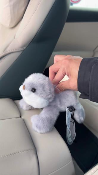 新一代SU7萌宠模式,水獭和小猫咪!女生可能经不住这个诱惑吧!YU7后续也可使用!#萌宠模式 #小米SU7 #小米YU7 #我和我的小米汽车