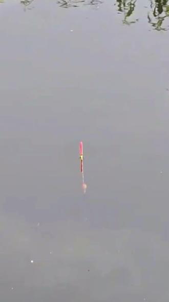 雨天别再盲目的钓鱼啦 今天5月27日,给大家提个醒!气压走低的天气,真的别盲目冲去钓鱼啦~#抖音玩法合伙人计划 #青年创作者成长计划 #真实生活分享计划 #创作者伙伴计划 #钓鱼气象预报