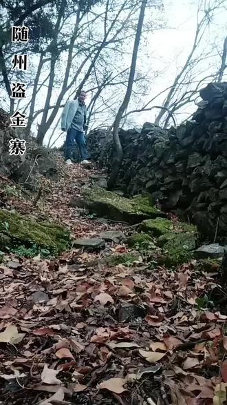 #盗金寨位于湖北省随州市曾都区洛阳镇胡家河村四组,是该村与安陆市钱冲村之间的界山,海拔453米,为洛阳镇行政区划内的第一高峰。
地理特点:山峰因寨而得名,山顶可俯瞰随州、孝感、荆门三市。
山上有部分损坏的寨墙和完整的三道城墙,还有架机枪的炮眼、子弹孔、大石碾子和石碑等遗迹。
山腰有两道人工开挖的深沟,是上个世纪六七十年代湖北省地质勘探队勘探金矿时留下的痕迹。#盗金寨 #古寨文化
历史背景: