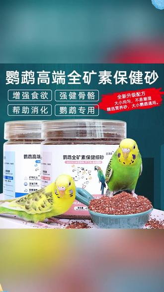 你家鸟崽是不是也爱吃自己的粑粑,碎渣渣,啃脚丫子?真的应该补保健砂啦!! #我的萌宠 #手养鹦鹉
