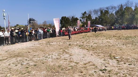 来青华海抓猪了