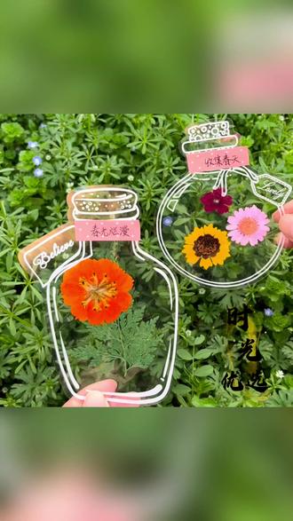 手工制作透明贴纸创意干花书签收集树叶花瓣标本 #手工DIY #创意书签 #干花标本 #手工制作 #自然收集