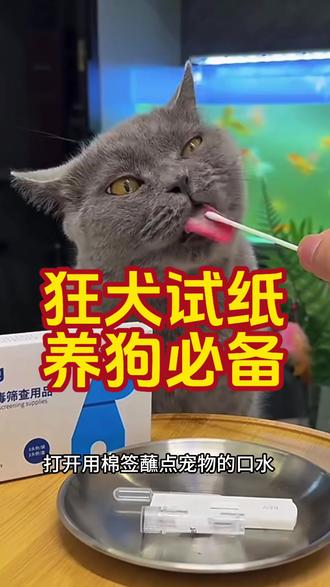 猫狗有没有狂犬病毒,在家一测就知道 养宠人必备#狗狗 #狂犬疫苗 #狂犬抗体检测 #养狗人 #宠物科普