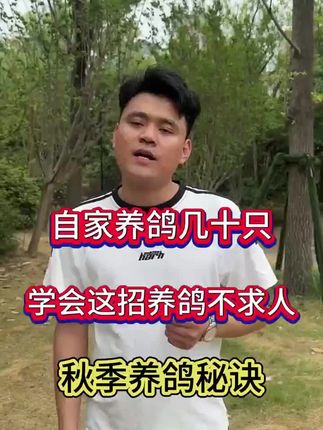 【全蟲清】鸽子家禽线虫绦虫蛔虫体内寄生虫可用健康饮水饲料添加剂#鸽子