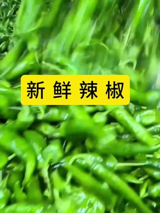 哇,这个辣椒味道好极了,推荐给朋友尝尝#美味下饭菜 #辣椒 #下饭菜 #快来一起尝个鲜 #农产品