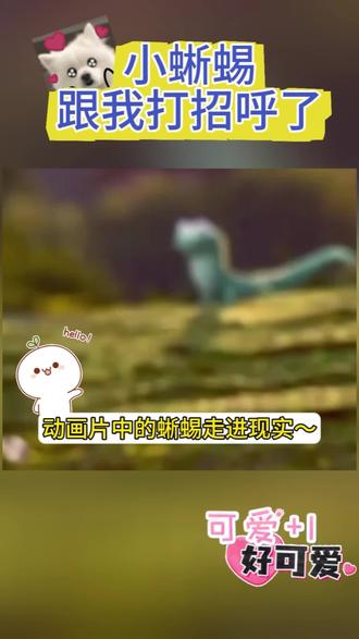 第一次见蜥蜴挥小手呀 太可爱了吧#蜥蜴