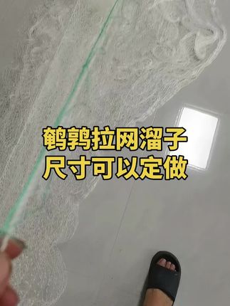 #鹌鹑拉网#鹌鹑盖网#鹌鹑#鹌鹑溜子#菜花