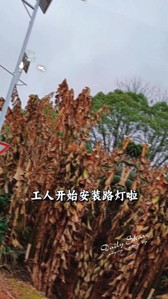 2025路灯终.完工;辛苦了一年,。