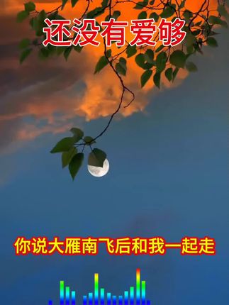 #感恩的心 #原创视频原创者 #感恩的心❤️