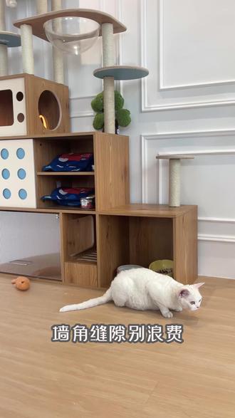矮脚猫也能轻松上下!这个猫楼梯绝了 矮脚猫、胖猫跳不高?这个楼梯式设计太贴心了!坡度缓、台阶矮,轻松上下床。小户型角落就能放,边爬边磨爪,实用!#矮脚猫 #曼基康 #猫爬架 #小户型养猫