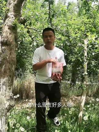 新疆天然晾晒杏干,一口咬下全是阳光的味道! 今天又是一个忙碌的一天!晚上回家吃水果,真甜啊!#优质农产品#美食#杏干#新疆杏干#丰收的味道在抖音