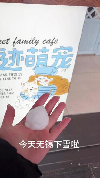 泡饭你还我雪球#小狗狗能有什么坏心思 #无锡 #下雪了 #小狗玩雪