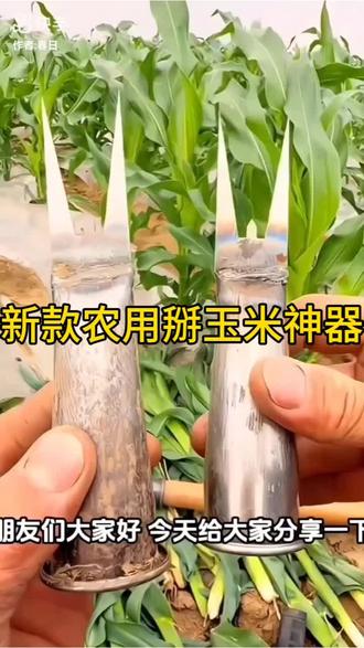 新款农用掰玉米神器#掰玉米#掰玉米的季节