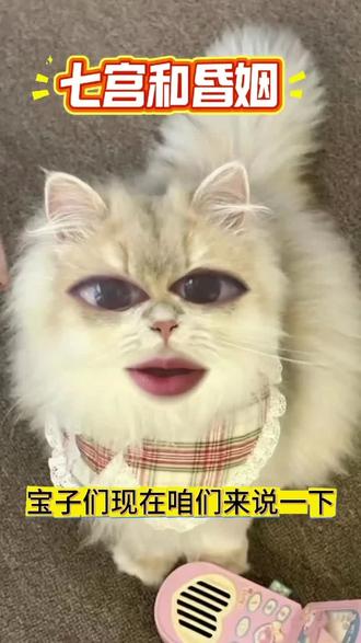 #星盘 #星盘分析 #星盘解析 #星盘讲解