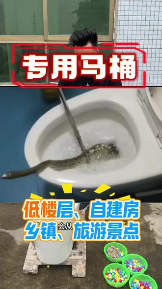 翻板马桶 老小区(有老鼠的小区)、自建房、低楼层(容易返水)、寒冷地区(需要防冻马桶)、旅游景点(有蛇从管道爬出来)、双存水弯卫生间(用虹吸马桶排水排不掉)、马桶排水管使用扁管的(马桶移位器使用扁管,管道被锁经)用户给大家推荐此马桶。能解决以上所有问题。#翻板马桶 #直冲马桶 #防返水马桶 #防鼠马桶