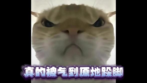 三角洲出红教程
#三角洲出红 #三角洲跑刀 #三角洲行动 #三角洲