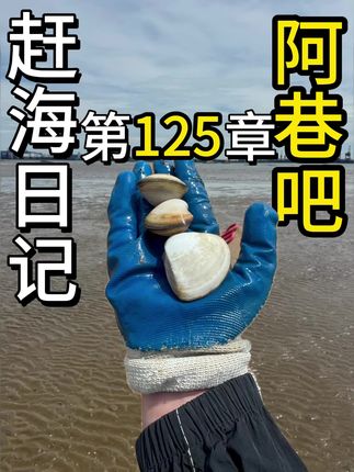 桦加沙来之前的海滩!! #美食 #vlog日常 #赶海