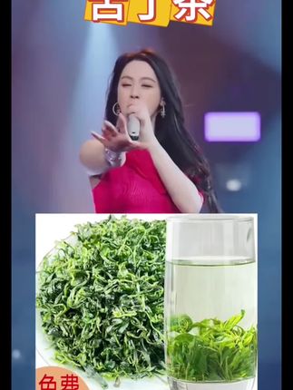 贵州特产余庆小叶苦丁茶嫩芽2025春茶新茶叶正宗青山绿水散装#苦丁茶 #贵州特产 #唐艺 #唐艺大舞台 #唐艺直播间