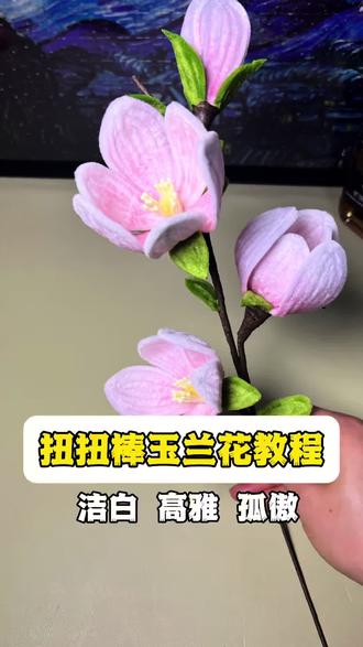 扭扭棒玉兰花教程
#扭扭棒玉兰花 #扭扭棒玉兰花教程 #扭扭棒 #扭扭棒手工 #手工教程