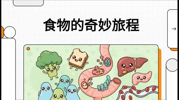 初中七年级下学期:生物第11课 #初中生物#生物#生物考试#寒假预习#生物学