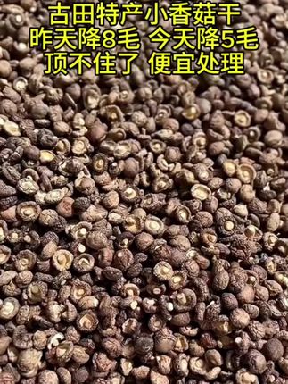 古田特产小香菇干#香菇干 #源头好货 #抖音助农扶农