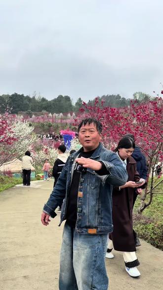北川永昌桃花节。@DOU+小助手
