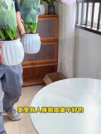 #育儿教育 #文学常识 #百科知识 #家庭教育 #金钻