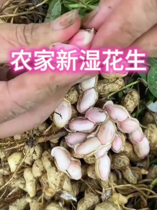 #优质农产品 #农业种植 #口感非常好