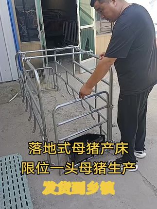落地式母猪产床,组装简单 拆卸方便 发货到乡镇#养猪人 #产床 #母猪产床 #简易产床 #猪用产床