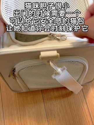 22 猫咪的移动安全小屋。#猫咪 #猫包