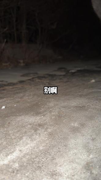 欧皇的绝世奇遇 后续任务链查不到攻略 我太超前了 怎么办哈哈 梵高附体 #剑三 #摸宠物 #绝世奇遇 #欧皇附体 #流浪猫