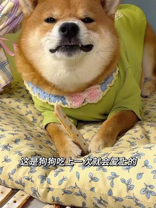 VINTAGE PET/唯宠宠物零食夹心牛皮片磨牙洁齿高蛋白营养补充耐咬