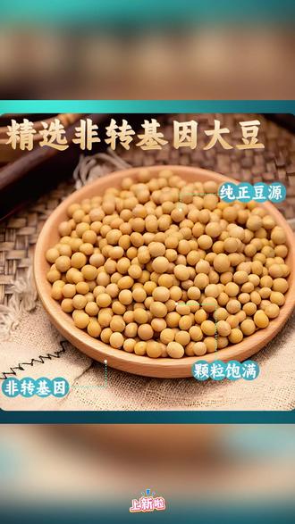 豆筋干货 墨乡农珍无盐粒豆筋卷豆筋丁豆筋大豆素肉人造肉干货豆制品家常菜#美食食材 #无盐豆筋 #大豆素肉 #干货豆制品 #素食选择