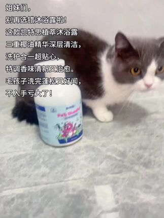 姐妹们,别再选错沐浴露啦!三重椰油深层清洁,洗护合一超贴心,特调香味清新又治愈。毛孩子洗完蓬松又好闻,不入手亏大了! #凯特思宠物沐浴露 #养猫新手 #宠物用品 #家有猫咪