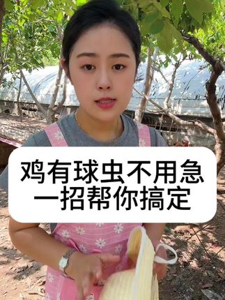 #鸡球虫#球虫#散养土鸡#养鸡技术#科学养鸡