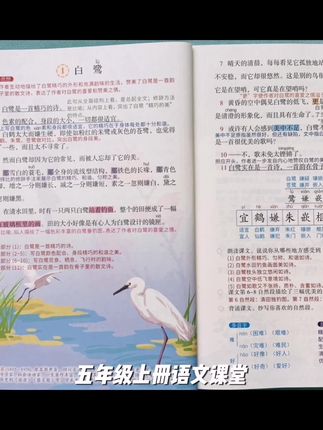 五年级上册语文课堂笔记带思维导图人教版同步教材课前预习全解书#知识分享 #涨知识 #高考热点 #小学语文