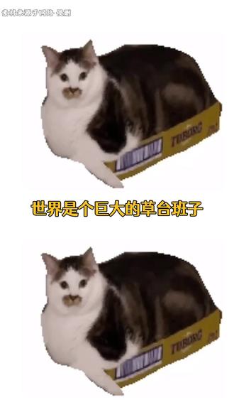 反耳呢,大家更想品鉴一下劣爆了的雪糕了
