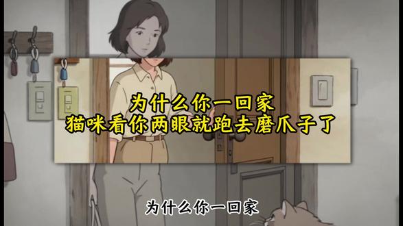 为什么你一回家,猫咪看你一眼就跑去磨爪子去了? #萌猫剧情 #铲屎官的乐趣 #猫咪科普 #猫咪 #猫咪的迷惑行为
