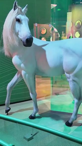 🐎 震惊!马儿的眼睛竟是天然全景摄像头!
你以为人类的视野已经很广?马儿笑而不语!它们的双眼位于头部两侧,拥有逆天的330°超广角视野,几乎能同时看清前方、侧面和背后的动静(人类只有可怜的120°左右)——这简直就是自带鱼眼镜头的生物版监控器啊!🔍 趣味对比实验👉🏻 你:转头才能看身后,还容易扭到脖子👉🏻 马儿:优雅站立,余光扫遍全场,连你偷偷掏零食的手都尽在掌握!💡 进化冷知识这种“全景模式”是马儿逃命的神技!野马祖先靠它一秒发现掠食者,现代赛马甚至能边奔跑边用余光判断对手位置~#上海科技馆 #科奇空间 #马的冷知识