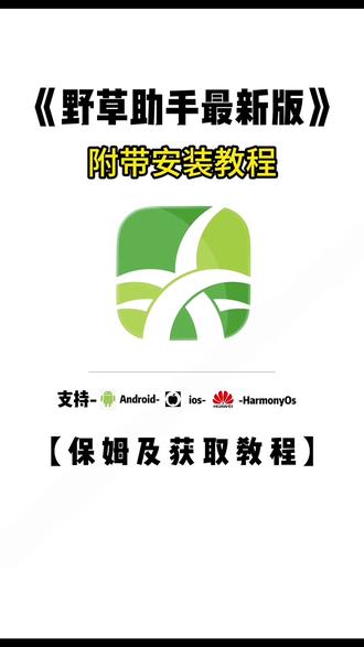 《甜白开分享》野草助手新版来了,带电视安装教程#野草助手 #电视 #野草助手口令