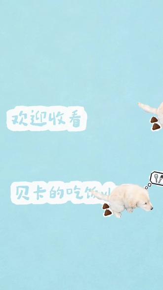 欢迎收看贝卡的吃饭vlog#萌宠日常记录 #金毛 #不养狗不知道养狗的乐趣 #vlog日常 #萌宠出道计划