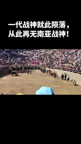 一代牛王,南亚战神,生于沙场,死于荣耀,角震南亚,威震八方,此生不负战神名,战死方休,纵死沙场骨犹香,南亚一战封神王。#场面壮观 #家乡习俗