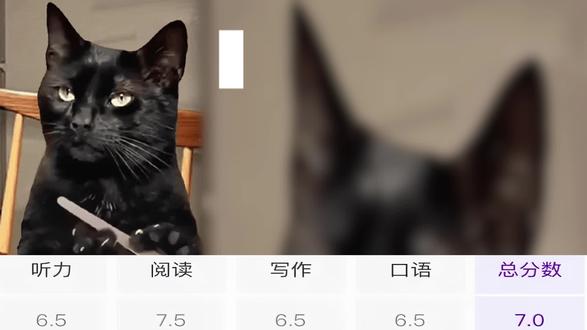 能40天把雅思首考干到7的bilibili听课顺序
Sun老师教英语:词汇
英语兔:语法
黄舒音雅思课:听力
Ray Ray的雅思课堂:阅读
前雅思考官Keith:口语
不爱学习的moon:写作
#雅思 #雅思口语 #雅思写作 #雅思听力 #雅思阅读