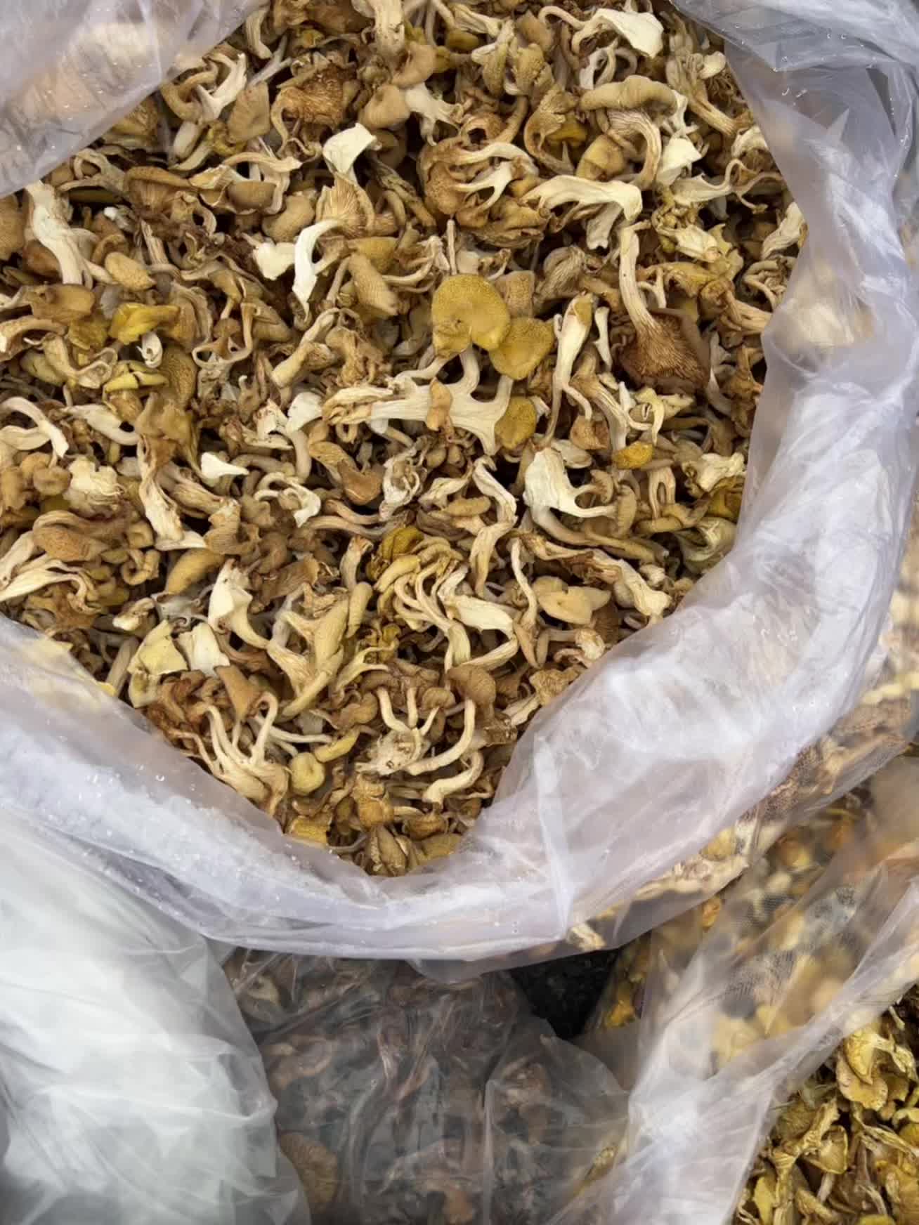 好东西来了