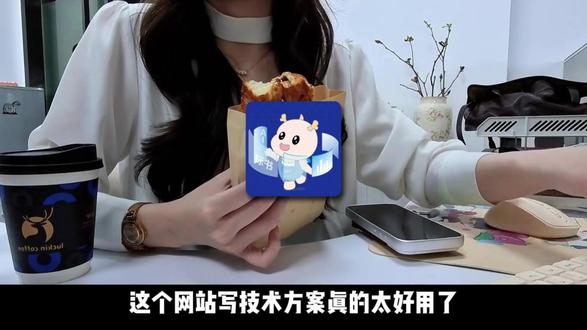 这个网站写技术方案真的太好用了 #标书制作 #ai工具 #投标人 #招投标 #牛马