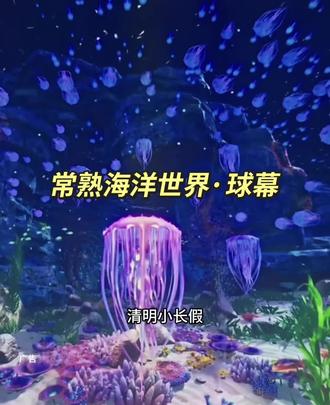 大小通票49.9 一大一小79.9 两大一小109.9#常熟海洋世界#球幕影院 #画面感超赞 #海洋生物 #清明小长假遛娃