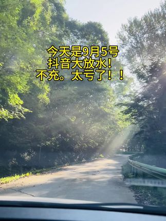 #࿆沿途随拍 #日光之下 #丁格尔效应 #森林氧吧 #路上的风景很美